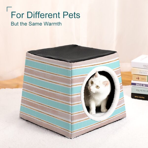 Capsule pet Waterloo - Image 7