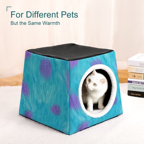 Capsule pet Waterloo - Image 7